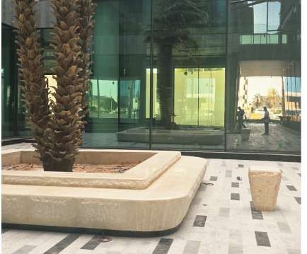 Palm in a stone planter at Manfath